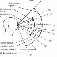 ergonomie-poste-travail-zones-de-vision-confort-normes-recommandations