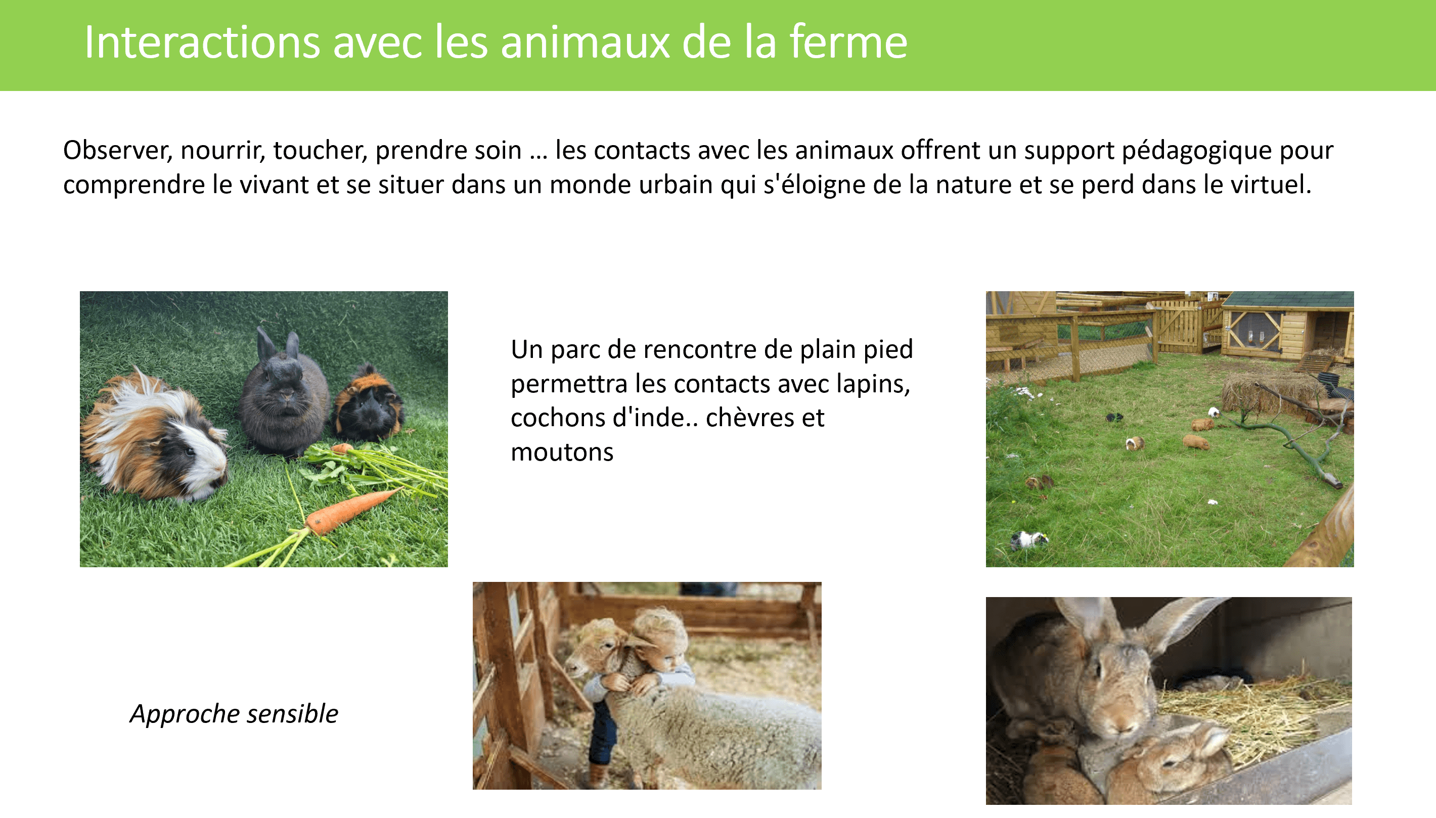 zoologie-aménagements-faune-ferme-pédagogique-contact-bien-être-animal